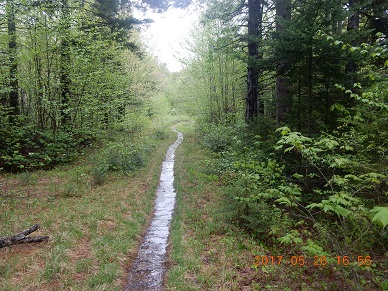 05-26 16;56 trail is covered with water