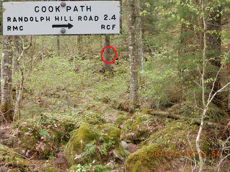 05-27 12;54 Cook Path