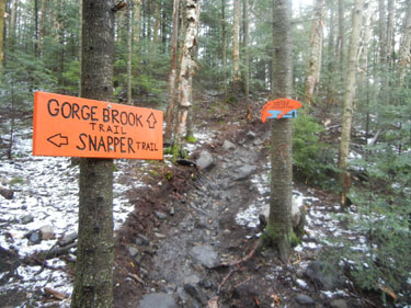 17-28 Groge Brook Trail