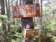 2026-05-17 11;29 Bemis Stream Tr