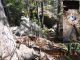 03 2026-06-04 TH - from Old Speck MTN over AT to Mahoosuc mile 2026-06-04 14;44 trail is falling down