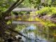 2026-06-29 15;16 swim in a Saco River