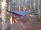 2026-08-29 19;13 hammock setup